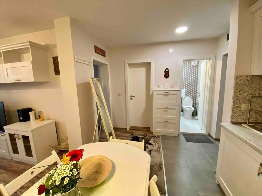 Stylish Magenta Apartment - Terrace & Free Parking صوفيا المظهر الخارجي الصورة